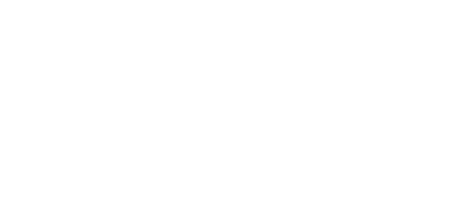Napis_2019Openminds